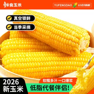 农垦雁窝岛 东北正宗黄糯甜玉米新鲜玉米真空装粘玉米玉米棒粗粮代餐低脂3根