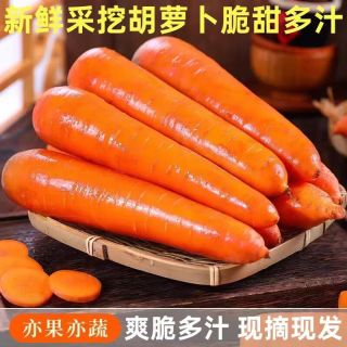 新鲜脆甜胡萝卜2斤农家水果萝卜手抓饭伴侣蔬菜夏季减脂胡萝卜 2斤 中大果