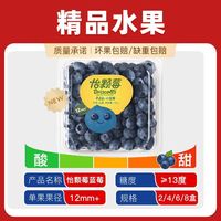 百亿补贴：Driscoll's 云南小蓝莓新鲜当季新鲜水果125g2盒单果12mm起