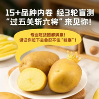 新鲜黄心土豆2斤 马铃薯现挖新洋芋源头直发时令蔬菜 农家自种现挖土豆