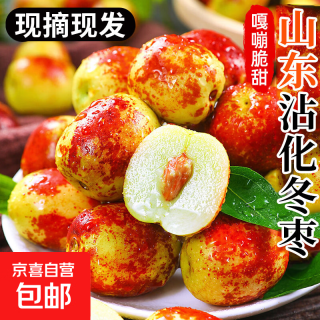 京喜加 正宗沾化冬枣新鲜脆甜青枣红枣整箱应季时令新鲜水果鲜枣生鲜 小果净重5斤 单果6-12g