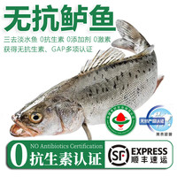 太湖海 鲜活三去鱼类水产 无保水剂食辅生鲜 200g/条*3条