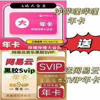 网易云音乐 svip会员年卡 网易云svip会员年卡+哔哩哔哩年卡