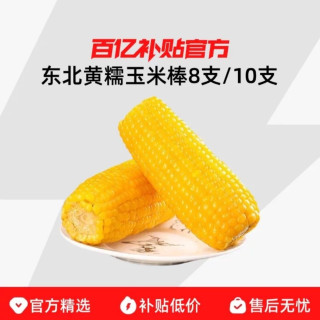 麦刻 东北黄糯玉米棒8支/10支新货真空装黄苞米现摘新鲜甜粘粗粮代餐