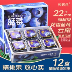 裕农叔 12盒蓝莓新鲜水果云南高山L25花香蓝莓孕妇水果蓝莓鲜果时令生鲜