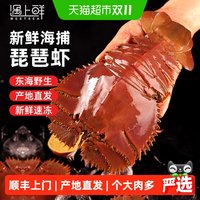 88VIP：遇上鲜 顺丰上门舟山琵琶虾九齿扇虾特大新鲜冷冻海鲜虾姑濑尿虾生鲜水产