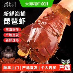 遇上鲜 顺丰上门舟山琵琶虾九齿扇虾特大新鲜冷冻海鲜虾姑濑尿虾生鲜水产