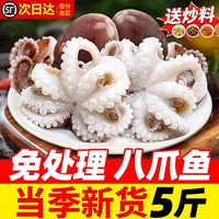 缤鲜 八爪鱼鲜活海鲜小章鱼水产新鲜爆头短腿八抓鱼冷冻迷你去内脏商用