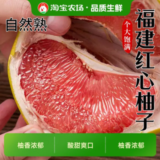胡鲜森 红心蜜柚1个红肉柚香新鲜水果当季红心柚正宗福建现摘整箱农场保存