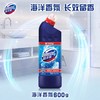 DOMESTOS 洁厕灵 600g