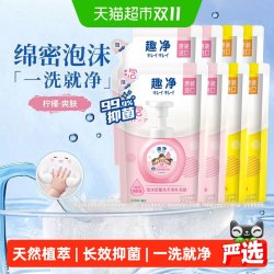 狮王 泡沫抑菌洗手液 阳光青提香 200ml*8
