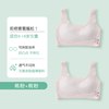 SHARUISHI 发育期少女抹胸 MX2588+13515