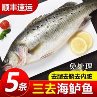 嵩海生鲜 三去海鲈鱼新鲜冷冻海鱼鲜活深海鱼七星鱼海鲜水产海产品冰鱼卢鱼