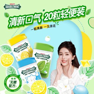 绿箭 WRIGLEY’S DOUBLEMINT 绿箭 无糖薄荷糖 48g 4瓶装 茉莉花味