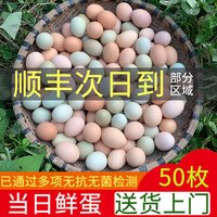 五斗春 正宗土鸡蛋农家散养新鲜纯农村自养天然50枚草鸡蛋笨鸡蛋乌绿壳蛋