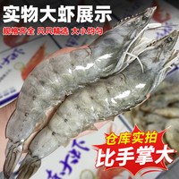 88VIP：海仙部落 顺丰上门大虾鲜活速冻青岛超特大海虾基围虾冷冻青虾盐冻对虾2030