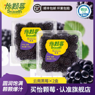 Driscoll's 当季云南树莓黑莓 国产新鲜树莓大果 生鲜水果送礼 云南黑莓125g*2盒（果径15