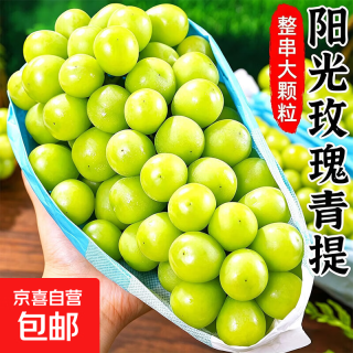 正宗阳光玫瑰葡萄应当季新鲜水果晴王葡萄无籽香印提子青提整箱 带箱5斤（彩箱装） 香甜可口