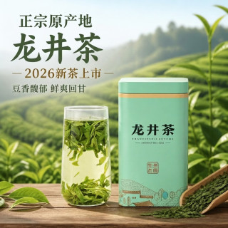 茗波 2026正宗龙井茶叶新茶龙井茶罐装浓香高山绿茶散装袋装送礼 龙井茶200g*1罐（精美罐装）