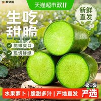 88VIP：栗贝诺 山东潍坊正宗水果萝卜甜脆生吃皮薄多汁当季新鲜产地直发蘸酱菜