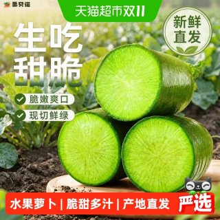 88VIP：栗贝诺 山东潍坊正宗水果萝卜甜脆生吃皮薄多汁当季新鲜产地直发蘸酱菜