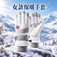 勋阳宇乐 手套冬天加绒厚冬季滑雪女