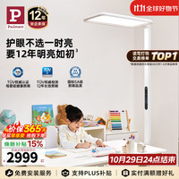 Paulmann P德国柏曼立式护眼灯 LED全光谱骑士大路灯儿童学习读写护眼台灯 骑士I 12㎡以内 紫光全光谱 4000K