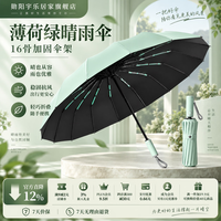 勋阳宇乐 【抗风加固】全自动大伞 双龙骨薄荷绿