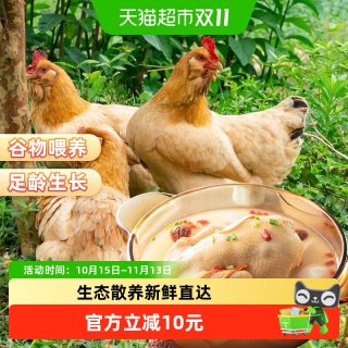 88VIP：大用 三黄鸡农家散养新鲜清真正宗走地鸡土鸡