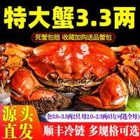 仲秋 活蟹特大8只大闸蟹鲜活现货全母螃蟹官方旗舰店河蟹湖鲜礼盒湖蟹