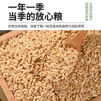 汾都香 5斤燕麦米 杂粮 补充纤维素