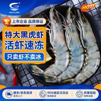 GUO LIAN 国联超大黑虎虾新鲜大虾鲜活速冻老虎虾冷冻海虾盐冻~详情领补贴