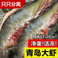 嵩海生鲜 大虾鲜活冷冻超大海鲜水产基围虾鲜虾海虾青虾冻对虾特大生鲜虾类