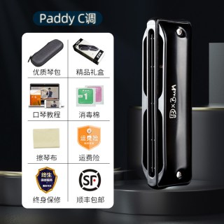 嘉德瑞 Assassin 刺客 布鲁斯蓝调十孔口琴 (C调 专业演奏 paddy)