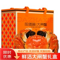 阳澄篇 大闸蟹鲜活螃蟹苏州生鲜礼物尝鲜礼盒冷链次日达