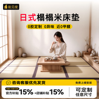 能见度 榻榻米床垫子定制定制日式可加热电热炕椰棕塌塌米地垫踏地铺定做