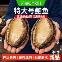 88VIP：天猫 大鲍鱼肉鲜活冷冻鲜冻商用批发特大新鲜佛跳墙食材超大去牙去壳