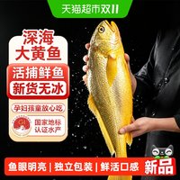 88VIP：天猫 新鲜冷冻黄花鱼深海大黄鱼整条海捕黄花鱼生鲜海鲜水产鲜活速冻
