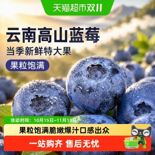88VIP：京运达 云南高山蓝莓应当季新鲜水果特大果礼盒整箱京运达怡佳颗沃
