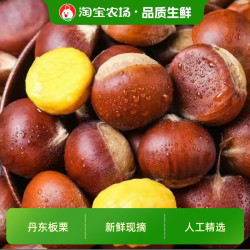 辽宁丹东现摘生板栗新鲜应季蔬菜口感脆甜批发包邮鲜板栗农场1斤