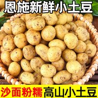 农大姐妹 恩施小土豆新鲜马铃薯5斤正宗黄心薄皮土豆洋芋现挖蔬菜10马铃薯