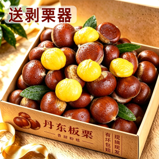 绿念 2026新鲜丹东生板栗当季板栗生新鲜栗子新下树5嫩油野栗大板栗10