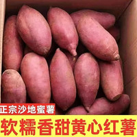 现挖沙地黄心红薯新鲜地瓜蜜薯黄心山芋番薯软糯香甜早餐农家自种