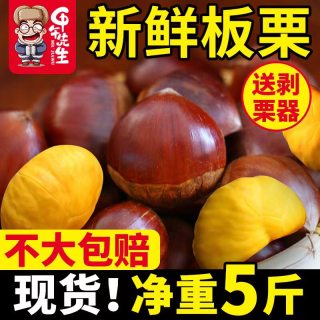 甲午先生的E家小铺 2026新鲜板栗丹东1斤鲜栗子生大嫩板粟锥栗野生批发 新油板栗仁