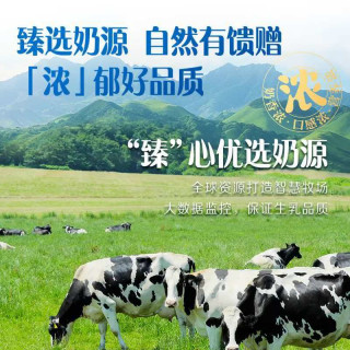 伊利 臻浓牛奶原味整箱优质乳蛋白学生早餐咖啡 250ml*20盒