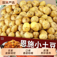 梦三峡 恩施小土豆黄心新鲜现挖洋芋蒸煮农家高山马铃薯当季蔬菜包邮自提
