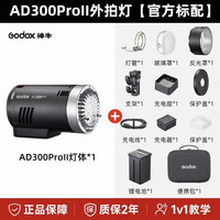 神牛 AD300ProII二代外拍闪光灯TTL高速同步300W户外单反相机摄影专用锂电便携补光灯口袋灯