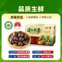 百亿补贴：鲜皆初 遵化板栗净重3斤大果单斤粒数40-45粒彩箱装