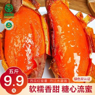 豫西臻选 5斤西瓜红蜜薯新鲜现挖软糯香甜皮薄无丝河南红心蜜薯