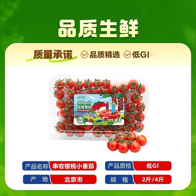 知翠 小串收小番茄生吃带枝车厘茄小西红柿净重2斤顺丰上门